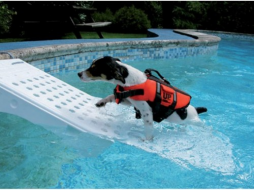 Rampe pour chien - Skamper Ramp