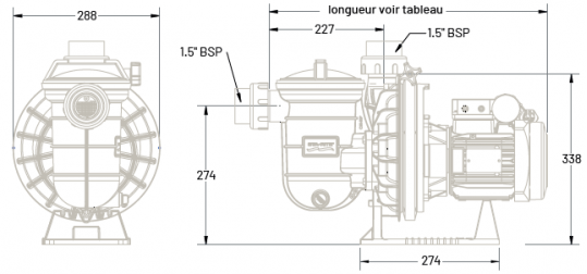 Sta-rite 5P2R VS 1,5 CV - Vitesse variable - Mono