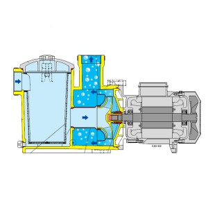 Joint Or 4550 - Pièces détachées - Calpeda