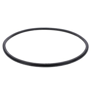 Joint torique pompe sena - Pièces détachées - Astralpool