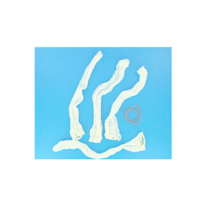 Jeu de 4 chaussettes à limon (180/280/380/Vs) - Pièces détachées - Polaris