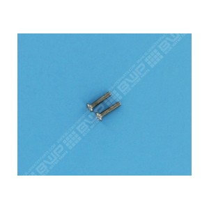 Vis 10-32x7/8 inox - x2 - C76 - Pièces détachées - Polaris