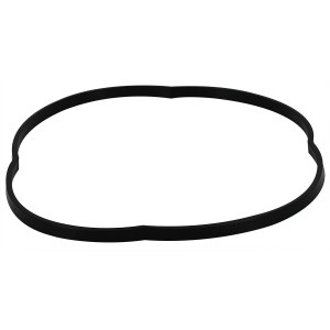 Joint de Corps de pompe - Pièces détachées - Astralpool