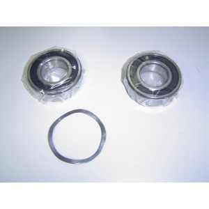 Ensemble Roulement - Pièces détachées - Astralpool