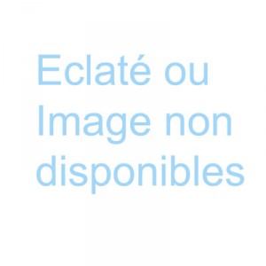 Diffuseur Bronze - Pièces détachées - Astralpool