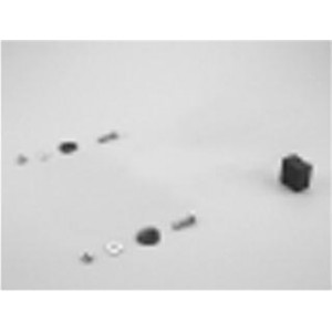 Vis pied de pompe - Pièces détachées - Astralpool