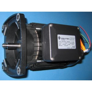 Moteur - Pièces détachées - Pentair