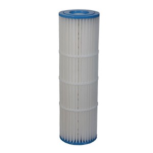 Cartouche pour Clean & Clear Plus 420 - Charge filtrante - Pentair