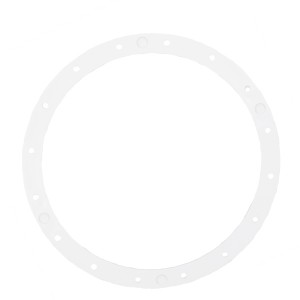 Bride projecteur 300W - Pièces détachées - Hayward