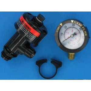 Purge d'air manuelle + manomètre - Pièces détachées - Pentair