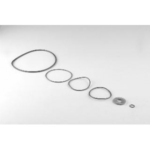 Joints caoutchouc - Pièces détachées - Astralpool