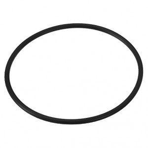 Joint torique - Pièces détachées - Hayward