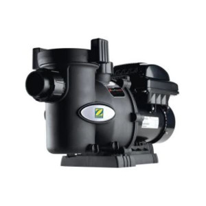 FloPro VS - Pompe piscine - Zodiac