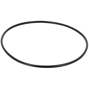 Joint torique de couvercle filtre UVE AM - Pièces détachées - Astralpool