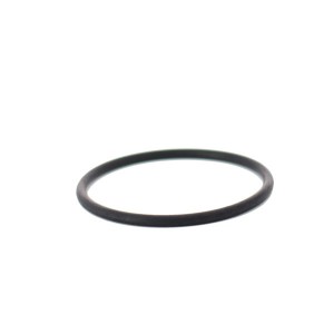 Joint torique d’électrode - Pièces détachées - Zodiac Poolcare