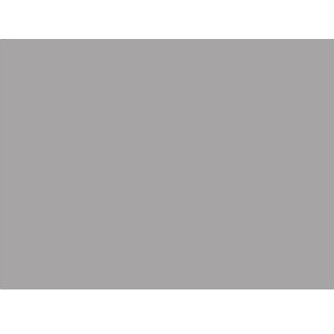 Membrane armée Alkorplan 2000 - Rouleau 41,25 m 2 - Finition standard - Gris clair - PVC armé - Reno