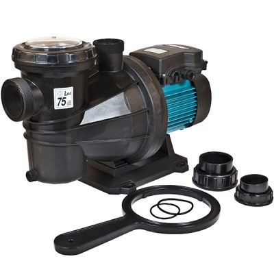 Pompe Silver 22 M - 1,5 CV - 22 m3/h - RECONDITIONNÉ - Très bon état