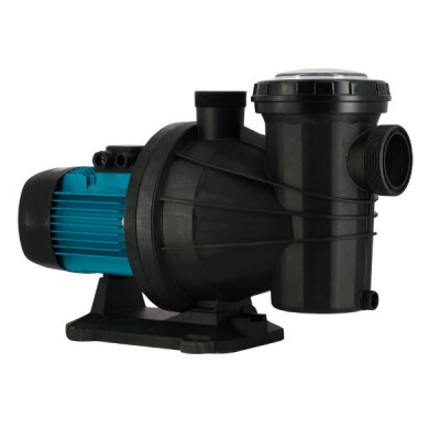 Pompe Silver 22 T - 1,5 CV - 22 m3/h -  RECONDITIONNÉ - Très bon état