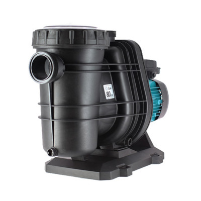 Pompe Tifon1 100 T - RECONDITIONNÉ - Très bon état