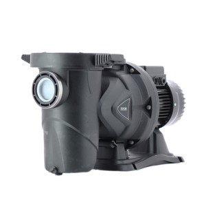 Euroswim 100 T - Pompe piscine - DAB