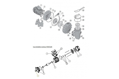 Pièces détachée Sta-Rite S5-P2R - 1 CV - Mono