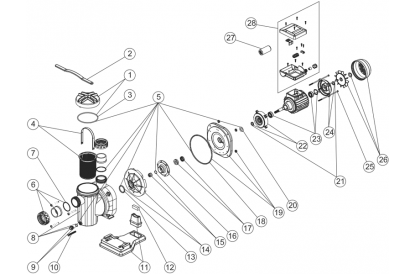 Pièces détachée Sena - 1,25 CV - 14 m3/h - Monophasée