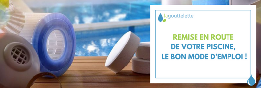 Pourquoi l'eau de ma piscine attire les insectes et les guêpes ?